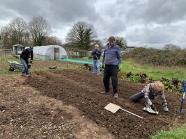 Reading Thames Rotarians sowing Potatoes in the Launchpad Reading's Teaching  Allotment